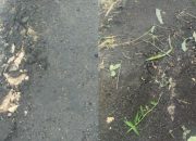 Belum Seumur Jagung, Proyek Pokmas di Desa Ketawang Daleman Mulai Hancur