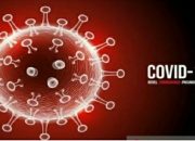 Cipika-Cipiki Saat Lebaran Potensi Penularan Covid-19, IDI: Jangan Dilakukan