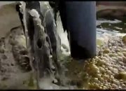 Niat Mulia Bupati Fauzi Akan Tutup Tambak Udang Ilegal Pupus Ditangan Tim TP3 Sumenep?