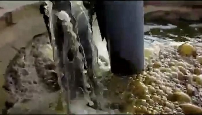 Niat Mulia Bupati Fauzi Akan Tutup Tambak Udang Ilegal Pupus Ditangan Tim TP3 Sumenep?