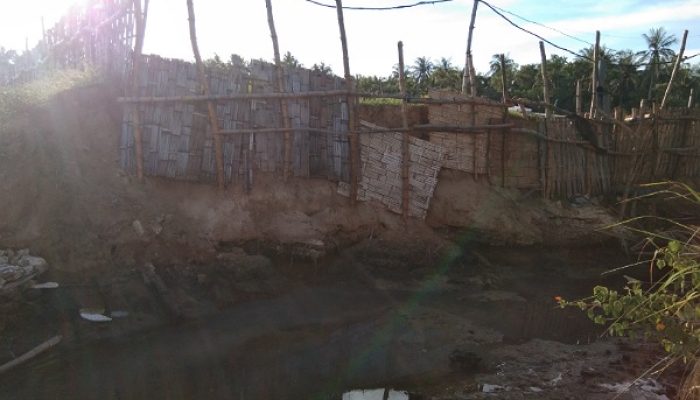 Rekomendasi Soal Penertiban Tambak Udang Ilegal Diabaikan Eksekutif? Marwah Legislatif Terancam Tercoreng