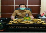 Wajib Baca, Ini Penjelasan Kepala DKPP Sumenep Soal Isu Kelangkaan Pupuk Bersubsidi