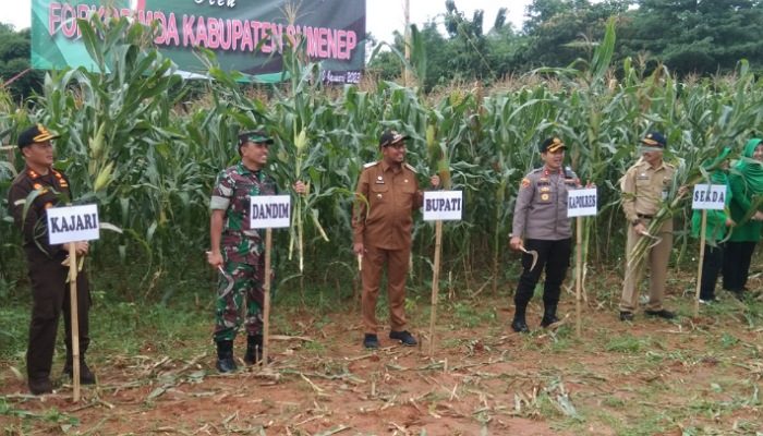 Bersama Forkopimda Sumenep, Letkol Donny Panen Perdana Silase Jagung