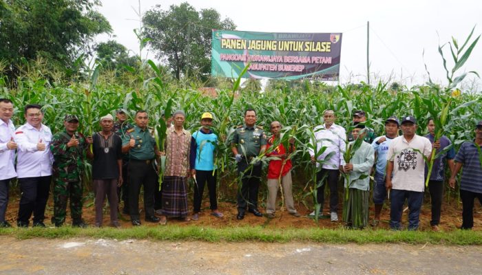 Sakera Pulang Kampung