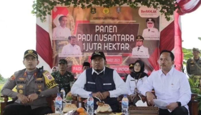 Produksi Padi Tahun 2023 Naik 3,21 Persen, Bupati Fauzi Apresiasi Petani di Sumenep