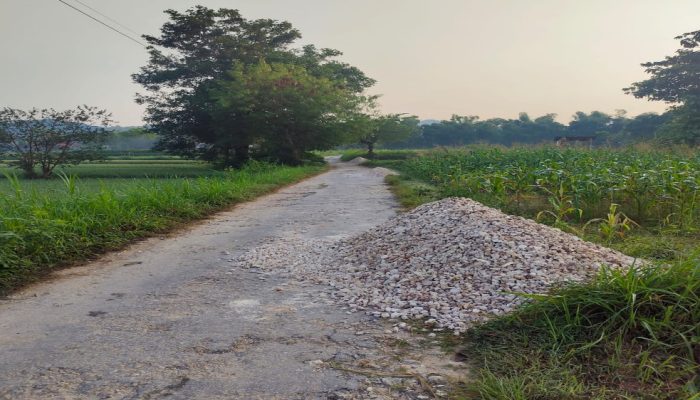 Pasca Dikritik Warga Setempat, Terdapat Tumpukan Batu Koral di Jalan Yang Rusak di Dusun Banlapah Bragung