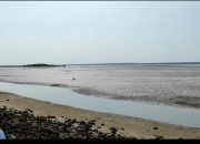 Penasehat Hukum Pemilik SHM Sayangkan Acara Istighosah di Desa Gresik Putih Dikaitkan Dengan Persoalan Penggarapan Tambak Garam