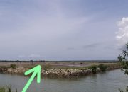 Penolakan Bangunan Tambak Garam di Desa Gresik Putih Tebang Pilih?