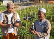 Pupuk Organik Shakti Ciptaan Koperasi Keraton Langit Sukses Diuji Coba Pada Tanaman Bawang Merah
