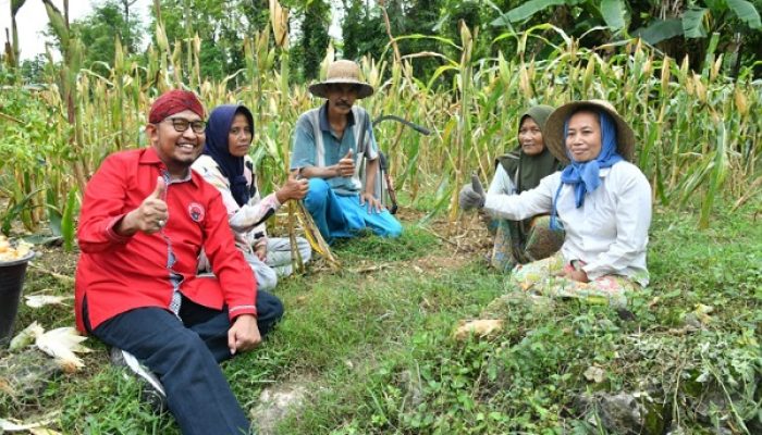 Kabar Gembira, Pemkab Sumenep Fasilitasi Asuransi Ketenagakerjaan Gratis untuk Petani Tembakau dengan DBHCHT
